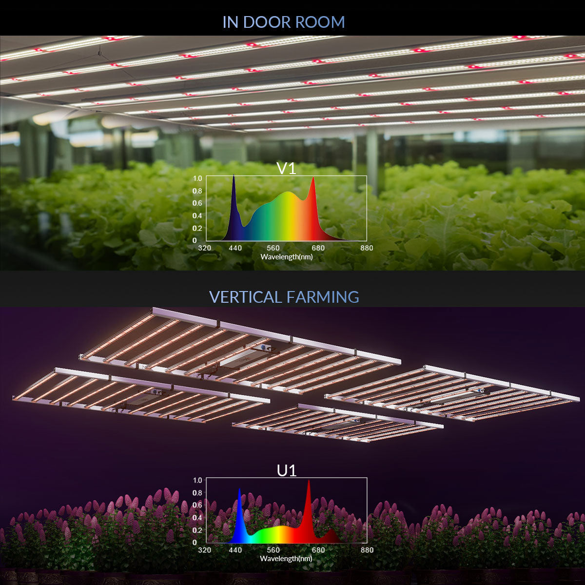 Medic Grow Fold 1200 瓦商用红蓝全光谱 LED 生长灯 ETL 和 DLC 认证