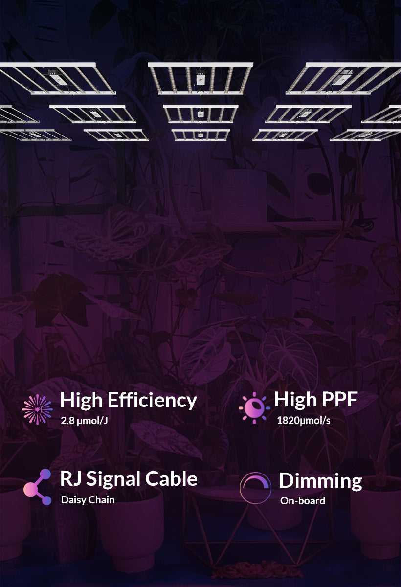 fold-650 led grow lampe