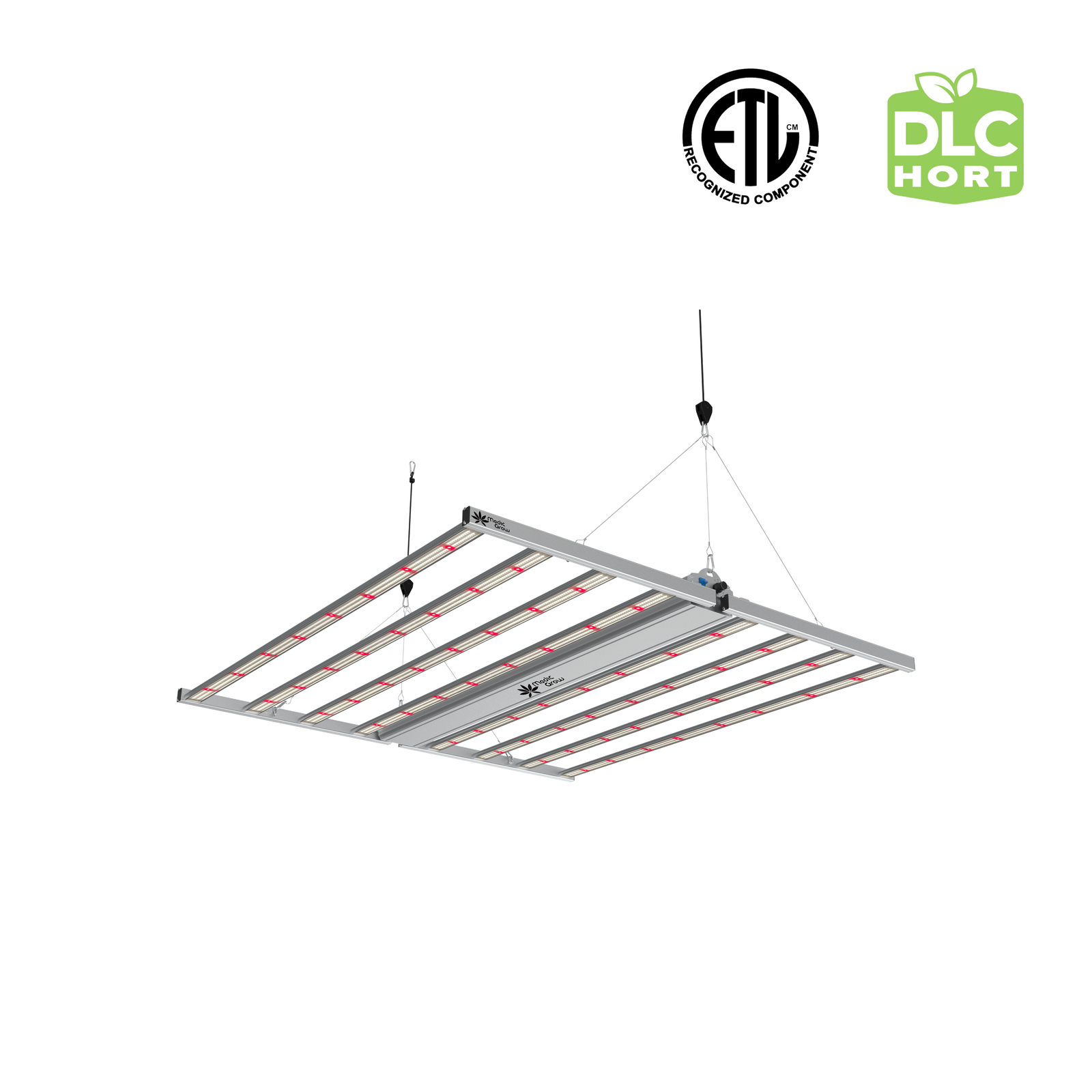 How To Use Grow Light For Seed Starting Seedlings Medicgrow how-to-use-grow-light-for-seed-starting-seedlings-medicgrow