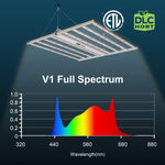 full spectrum light