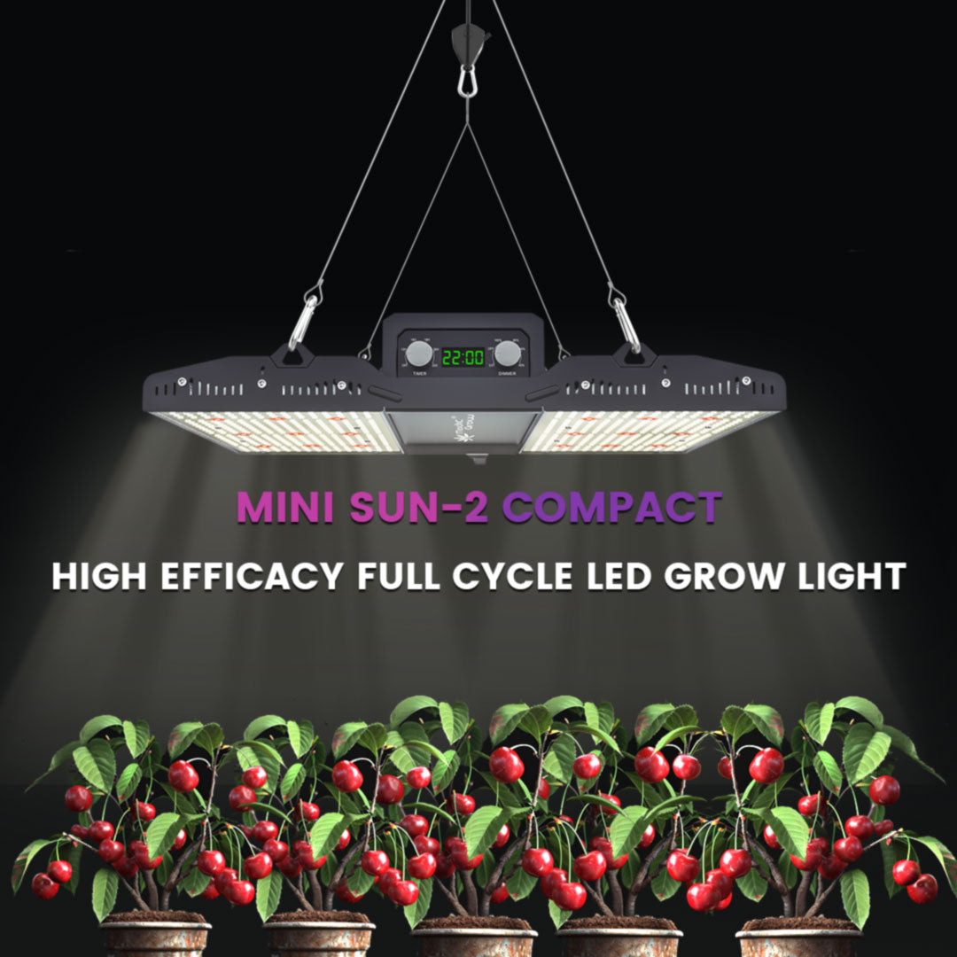 Medic Grow MINI SUN-2 全光谱可调光三星 LM301B 二极管 150W-500W LED 生长灯适用于 2X2/3X3