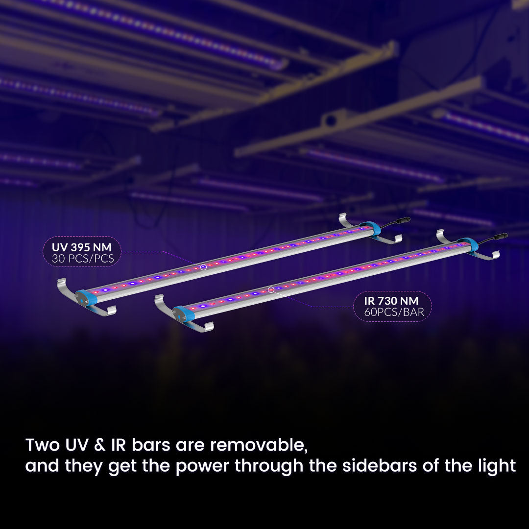 Đèn trồng cây LED UV và IR toàn phổ 880W thương mại có thể điều chỉnh độ sáng Medic Grow Spectrum Y